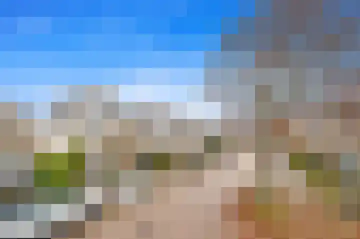 Boomkwekerij 15 Den Hoorn thumbnail 7