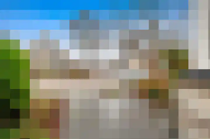 Boomkwekerij 15 Den Hoorn thumbnail 9