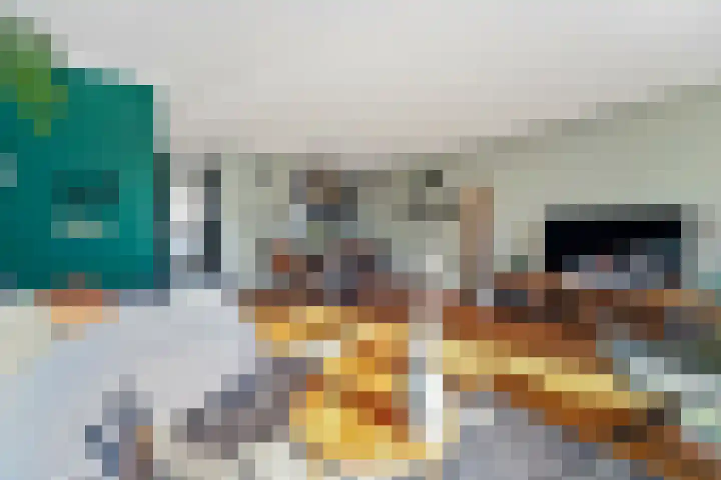 Boomkwekerij 8 Den Hoorn thumbnail 13