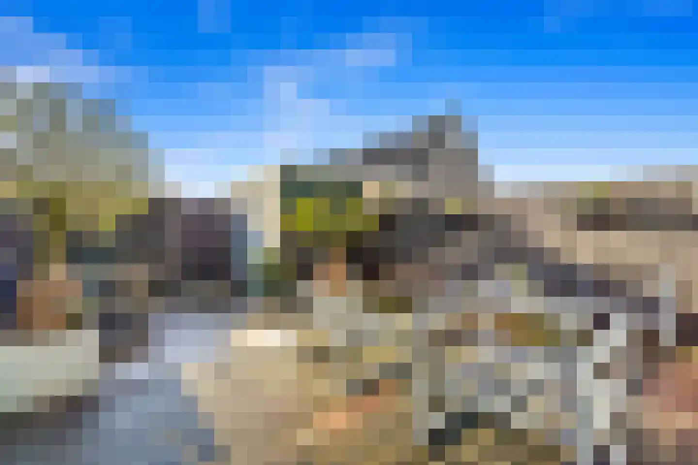 Boomkwekerij 8 Den Hoorn thumbnail 14