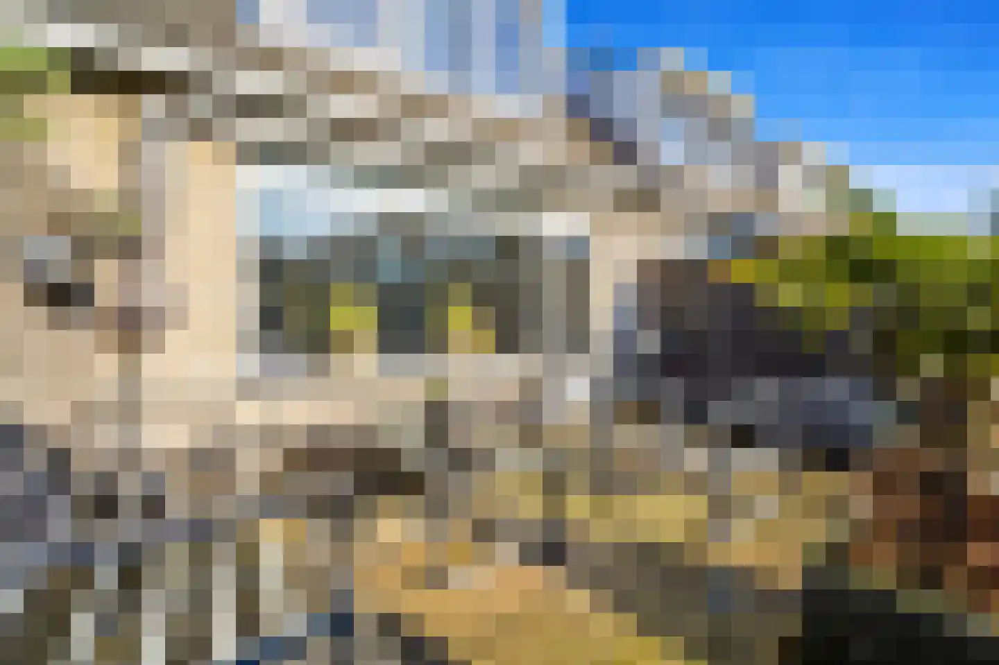Boomkwekerij 8 Den Hoorn thumbnail 15