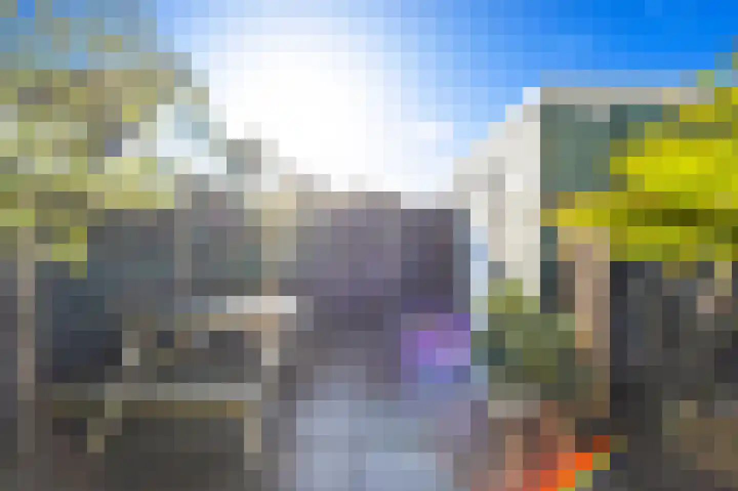 Boomkwekerij 8 Den Hoorn thumbnail 16