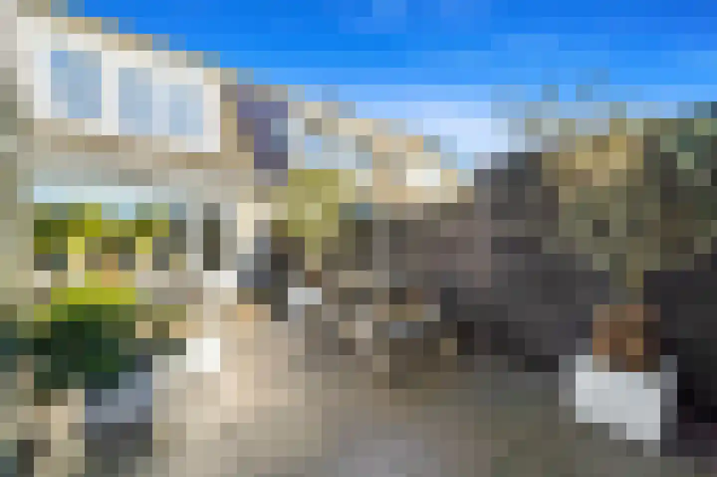 Boomkwekerij 8 Den Hoorn thumbnail 17