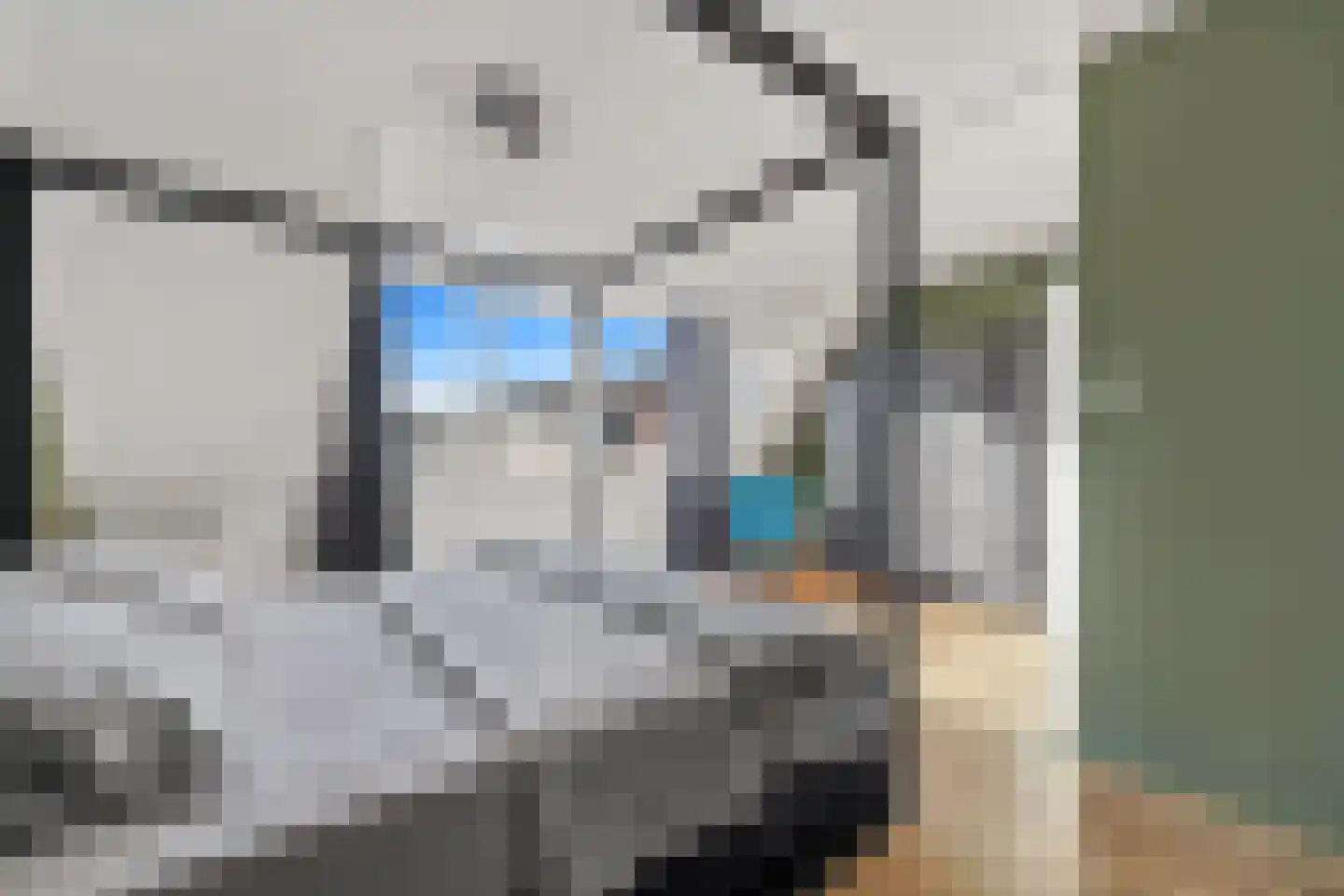 Boomkwekerij 8 Den Hoorn thumbnail 30