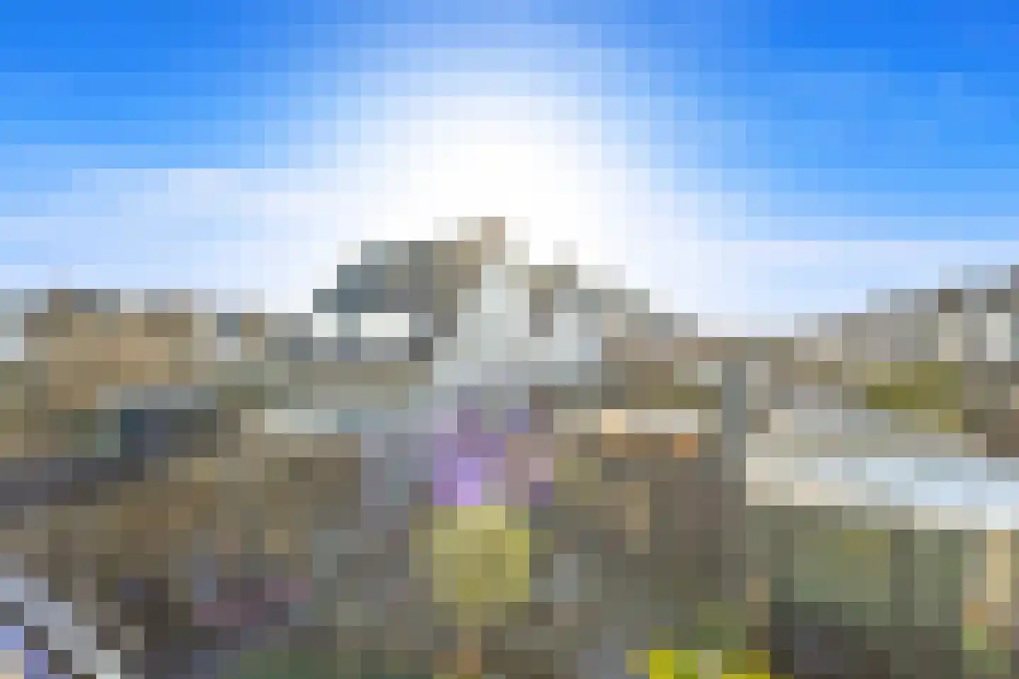 Boomkwekerij 8 Den Hoorn thumbnail 31