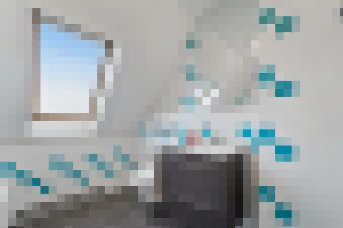 Boomkwekerij 8 Den Hoorn thumbnail 35