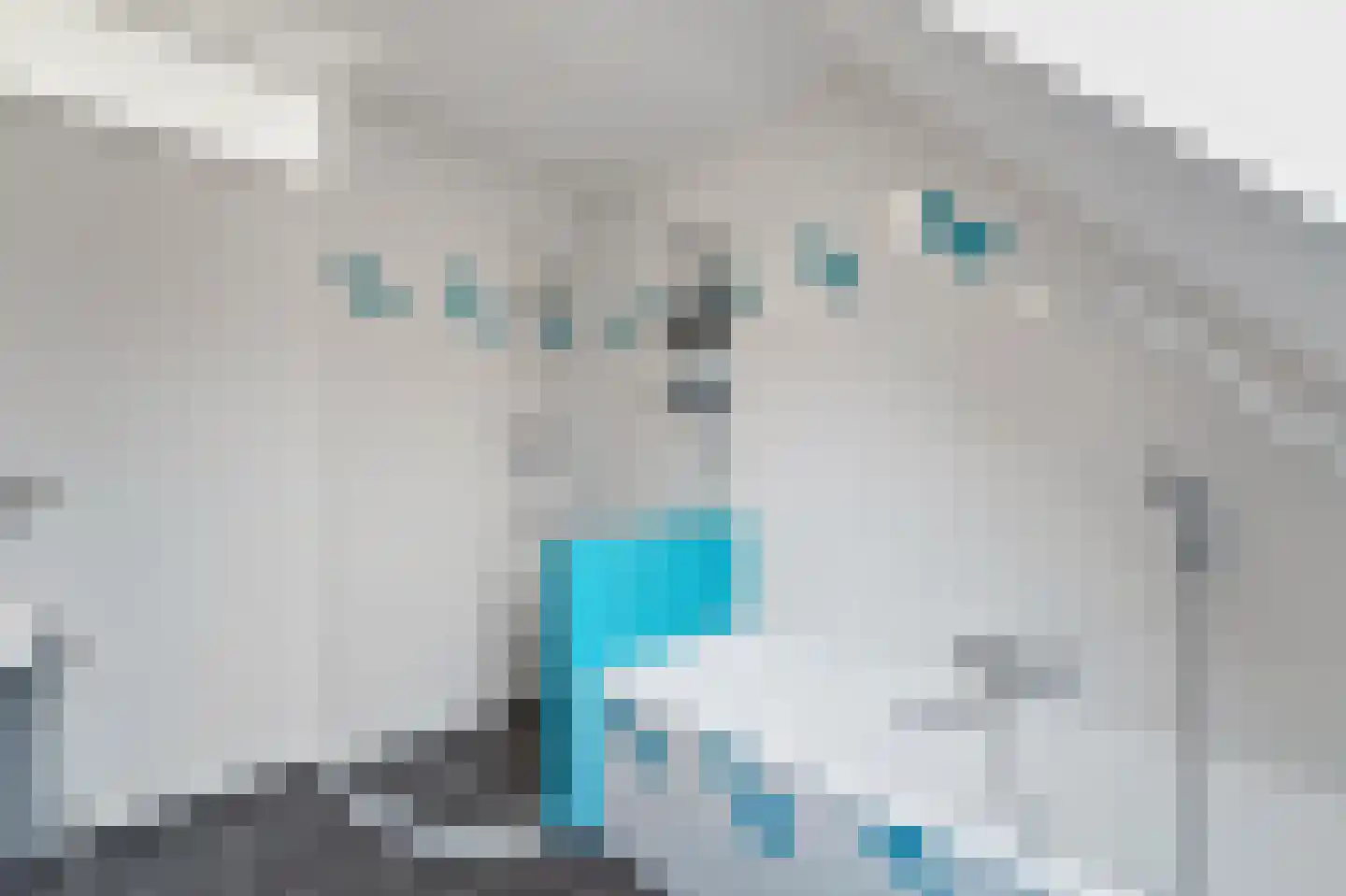 Boomkwekerij 8 Den Hoorn thumbnail 36