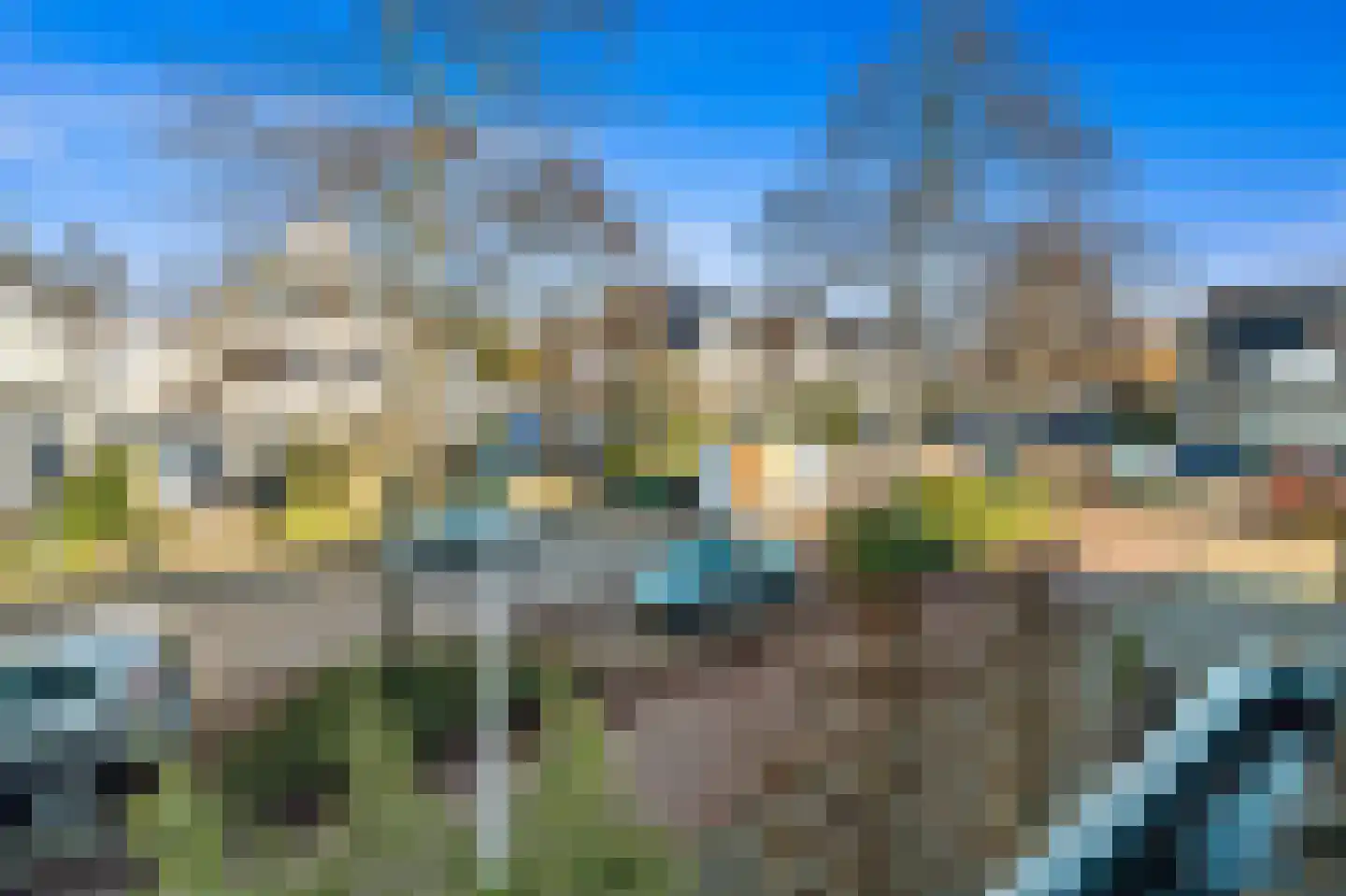 Boomkwekerij 8 Den Hoorn thumbnail 39
