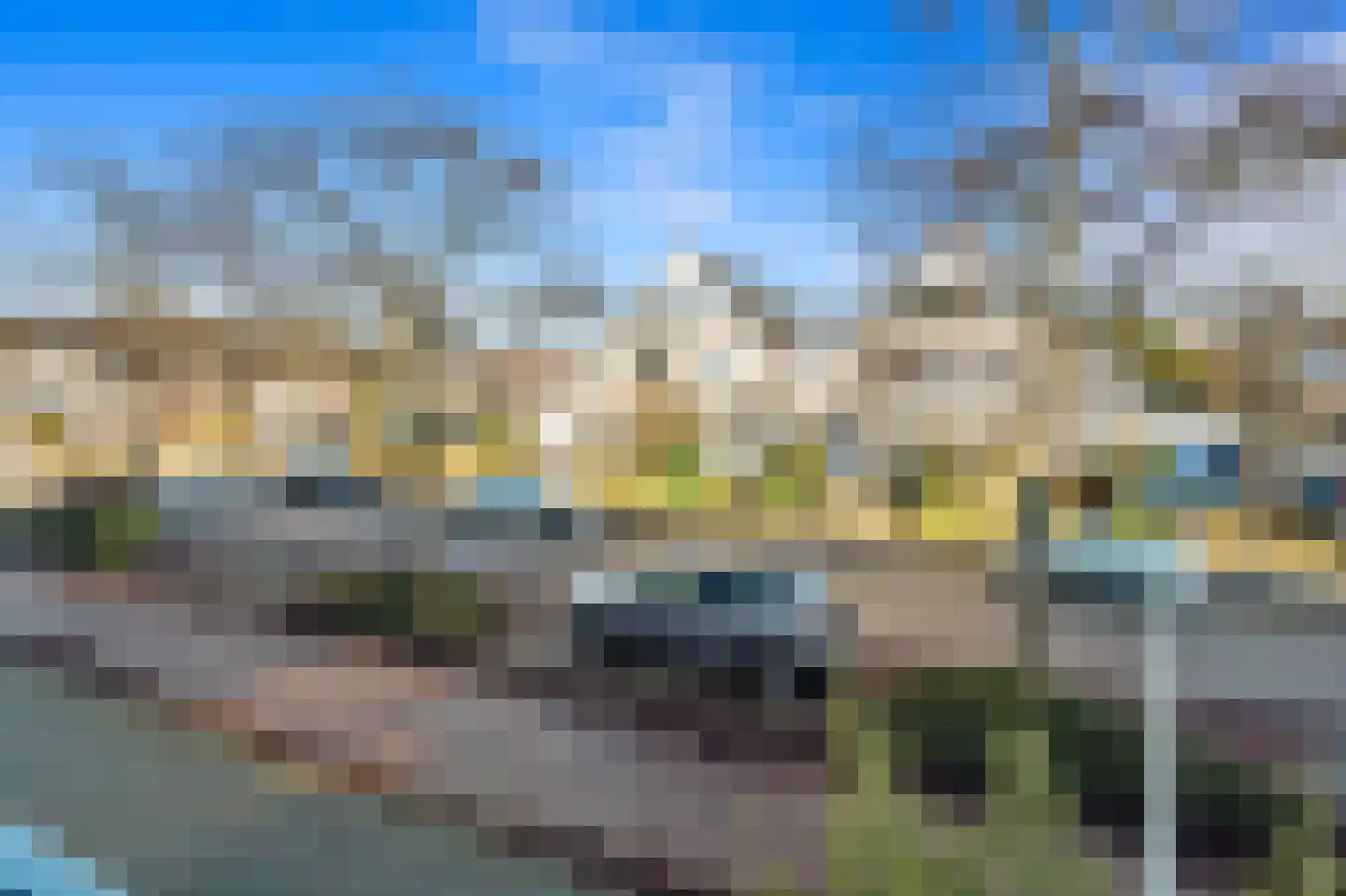 Boomkwekerij 8 Den Hoorn thumbnail 40