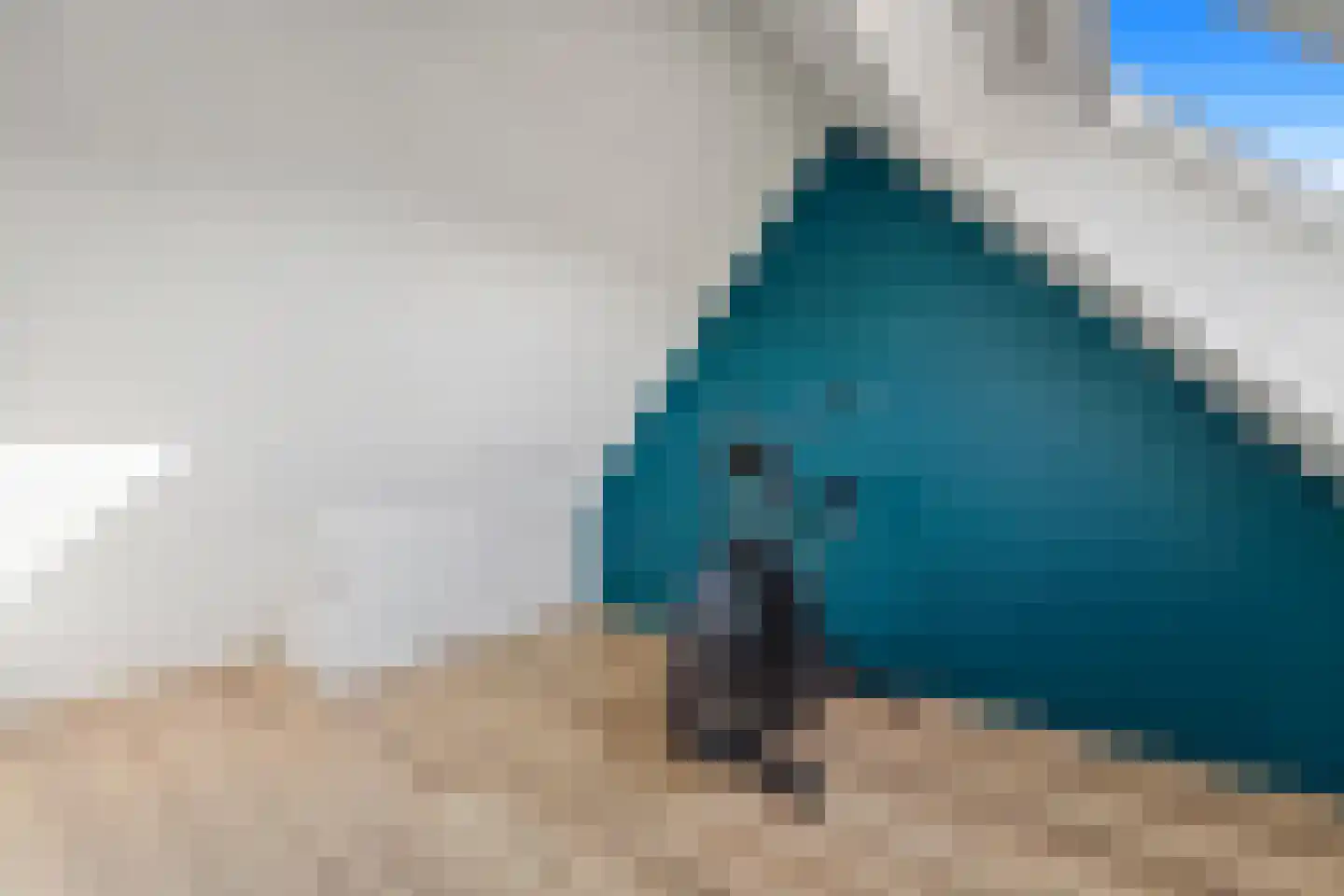 Boomkwekerij 8 Den Hoorn thumbnail 45