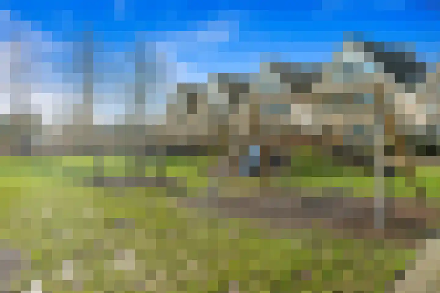 Boomkwekerij 8 Den Hoorn thumbnail 48