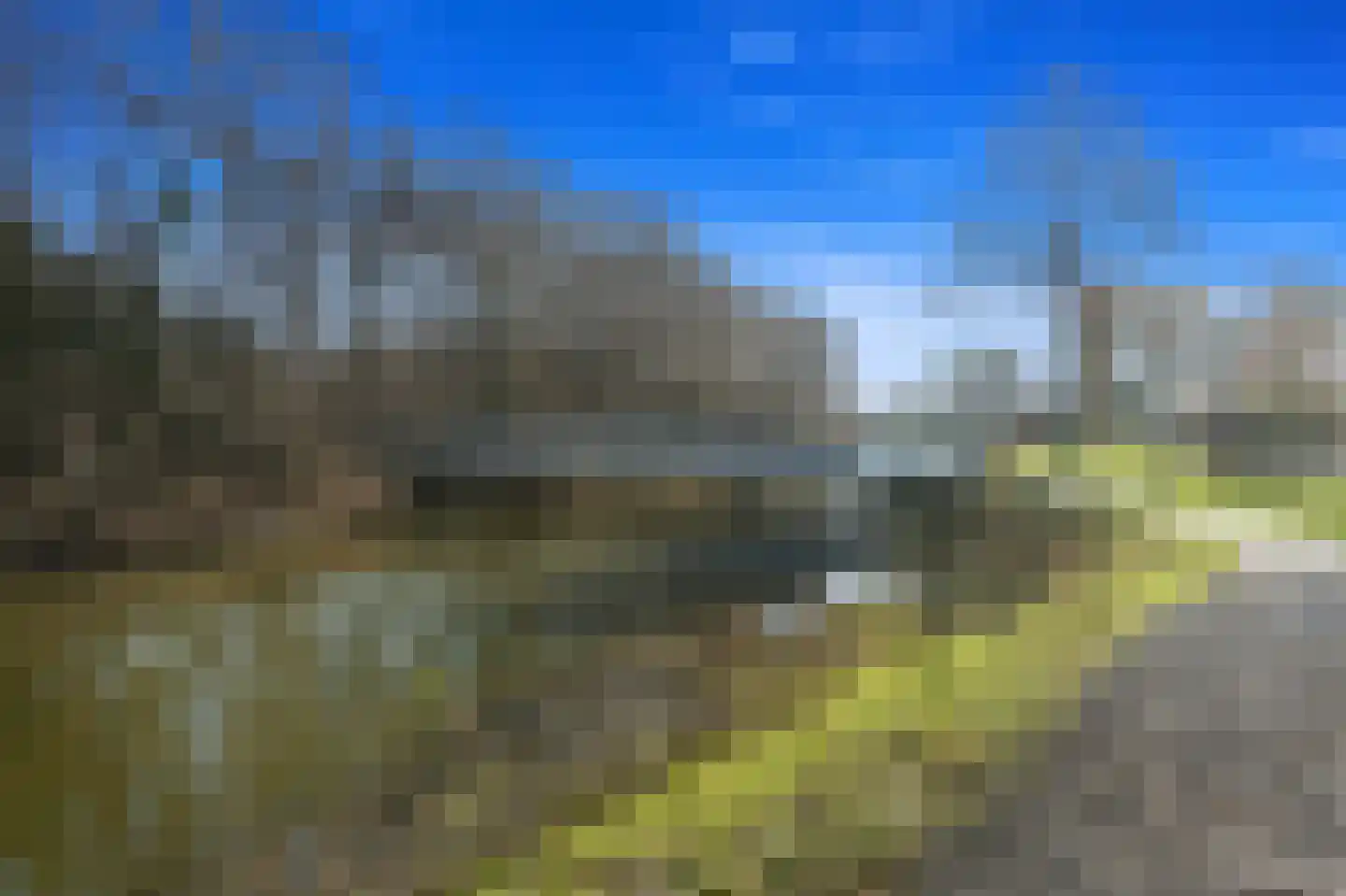 Boomkwekerij 8 Den Hoorn thumbnail 49