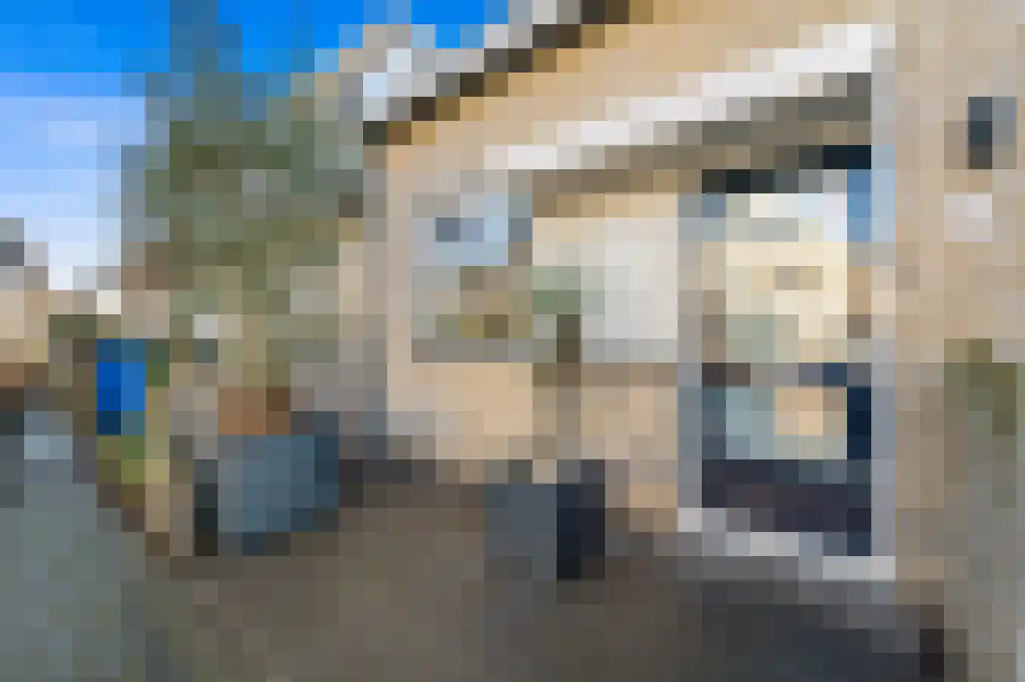 Boomkwekerij 8 Den Hoorn thumbnail 5
