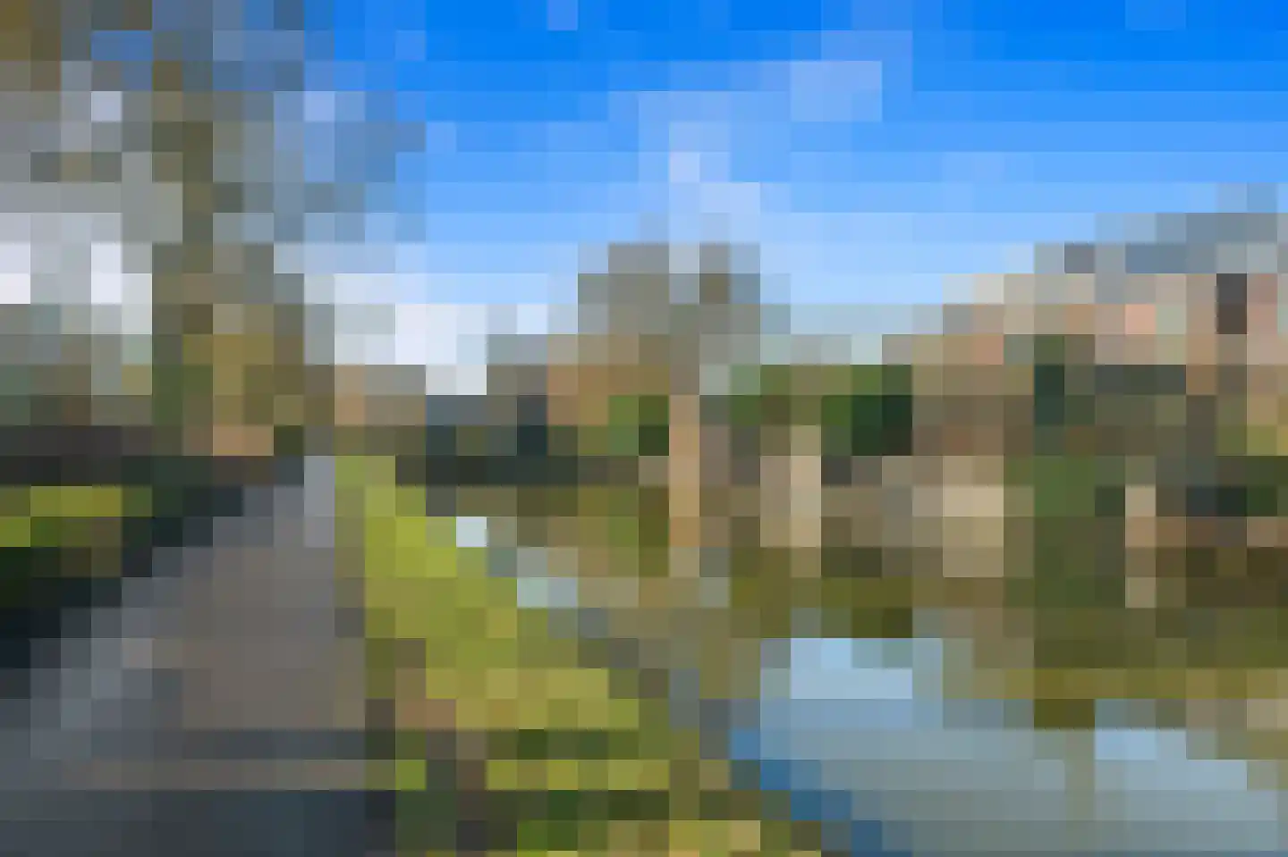 Boomkwekerij 8 Den Hoorn thumbnail 51