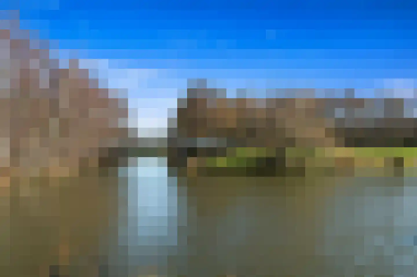 Boomkwekerij 8 Den Hoorn thumbnail 53