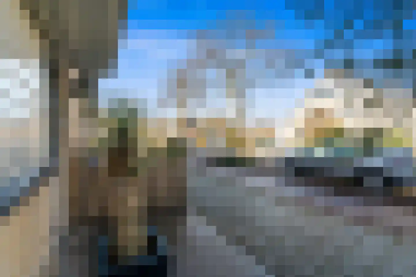 Boomkwekerij 8 Den Hoorn thumbnail 6