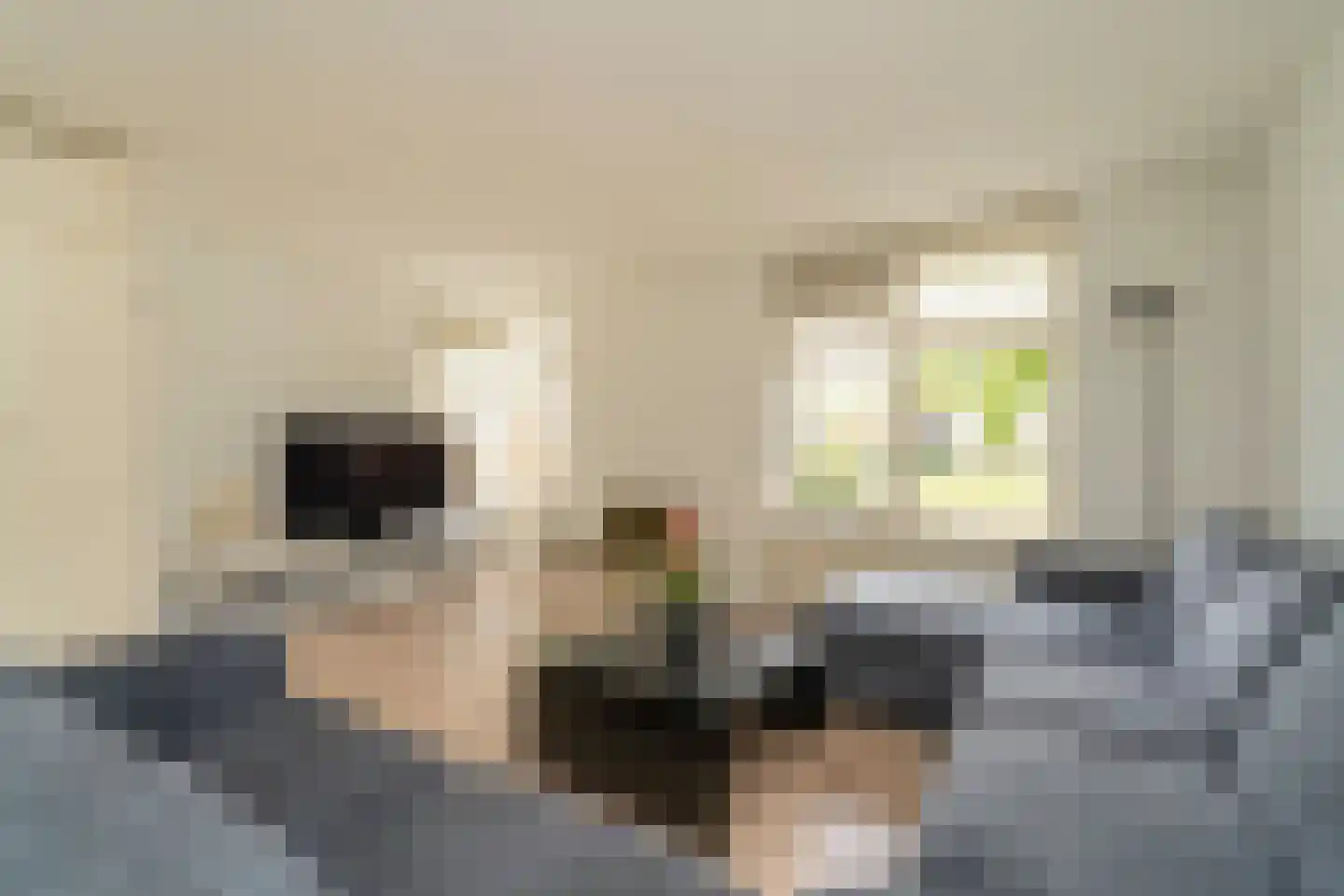 Boomleeuwerik 43 Goirle foto 2