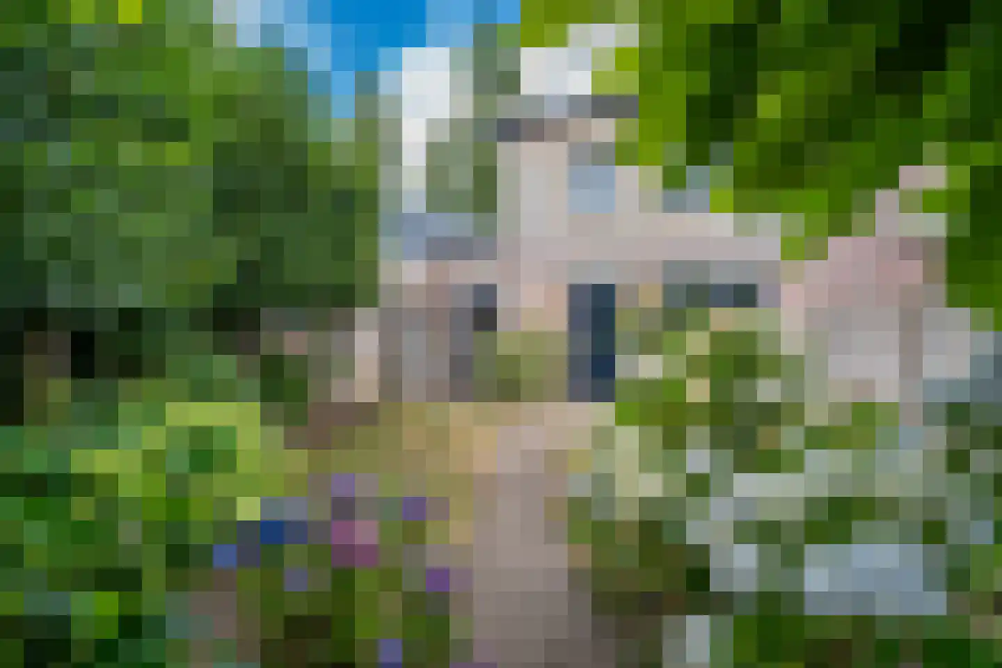 Boomleeuwerik 43 Goirle thumbnail 24