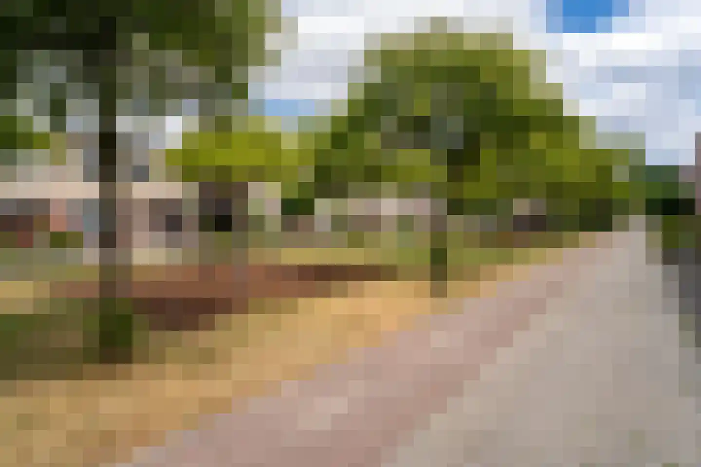 Boomleeuwerik 43 Goirle thumbnail 26