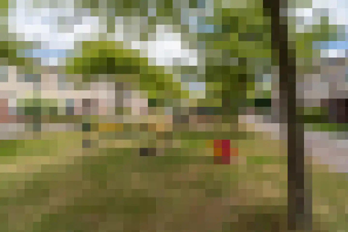 Boomleeuwerik 43 Goirle thumbnail 27