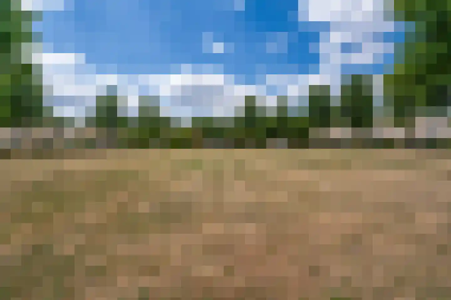 Boomleeuwerik 43 Goirle thumbnail 28