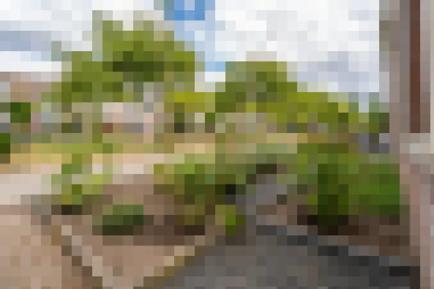 Boomleeuwerik 43 Goirle thumbnail 6
