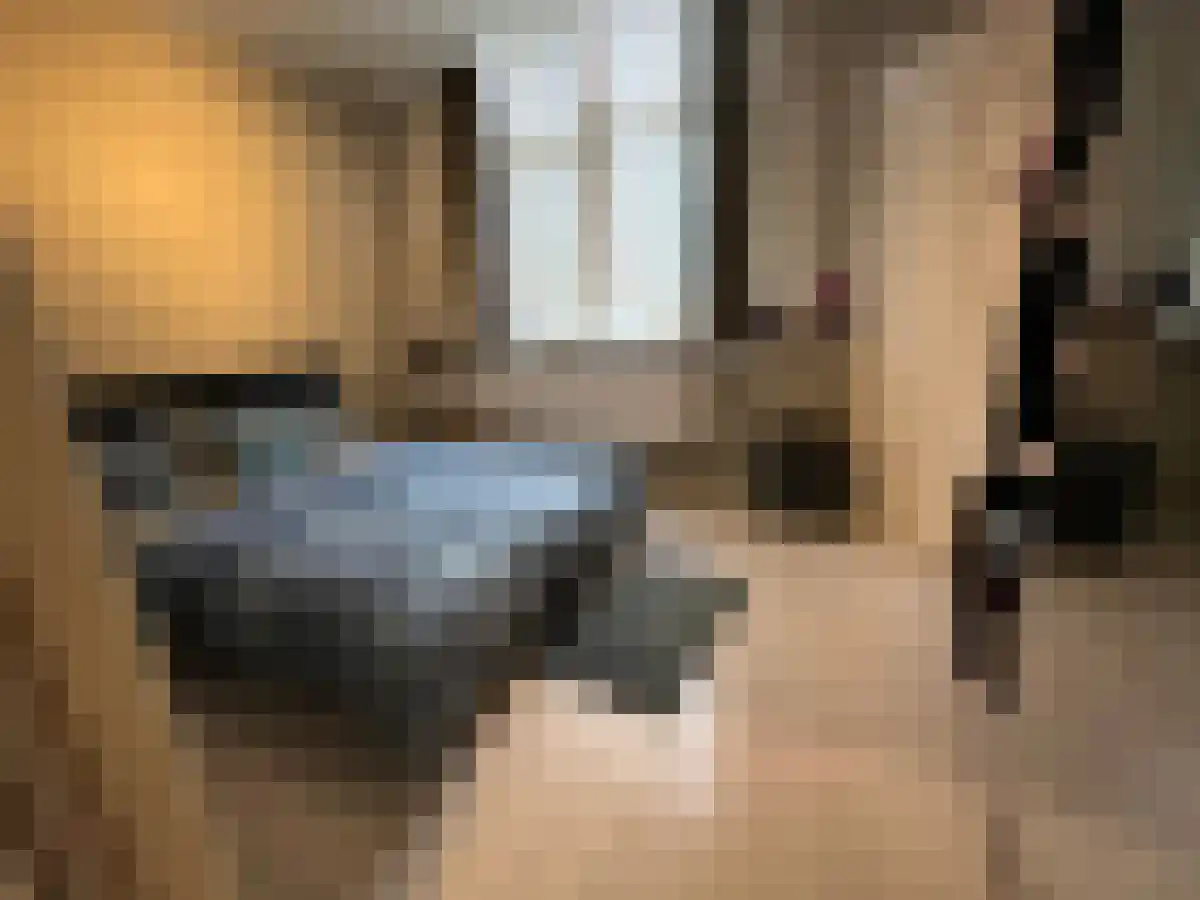 Boommarkt 4 Leiden thumbnail 5
