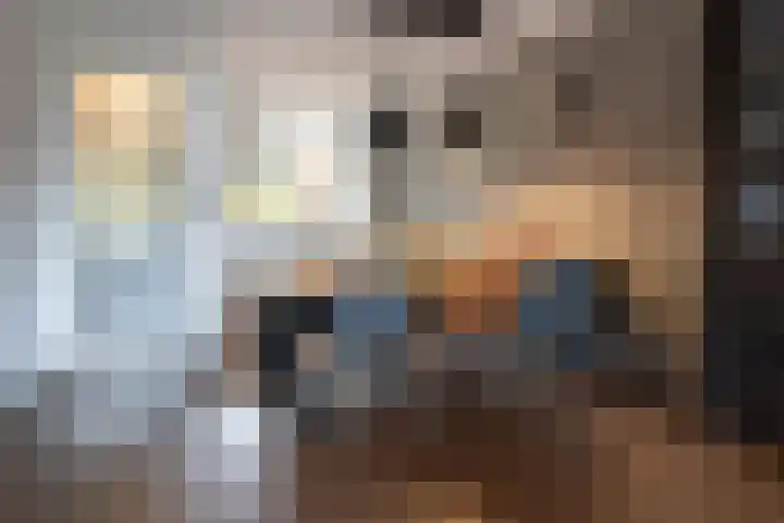 Boommarter 14 Dorst thumbnail 10