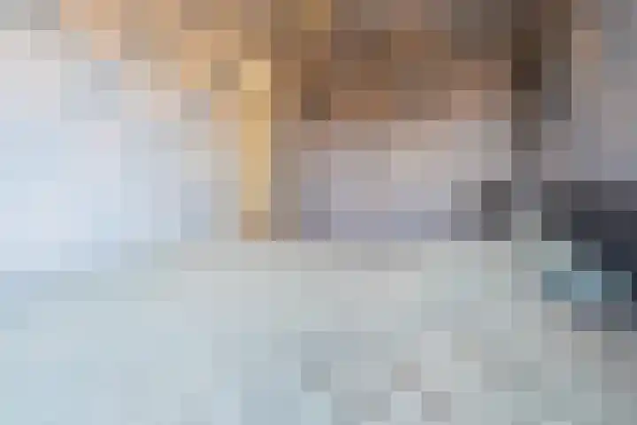Boommarter 14 Dorst thumbnail 16