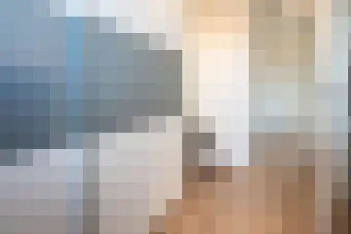 Boommarter 14 Dorst thumbnail 19
