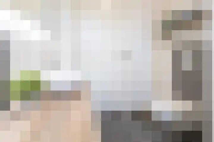 Boommarter 14 Dorst thumbnail 21