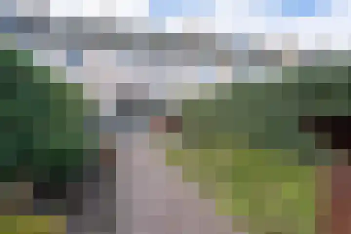 Boommarter 14 Dorst thumbnail 28