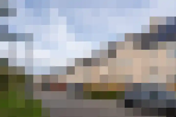 Boommarter 14 Dorst thumbnail 30