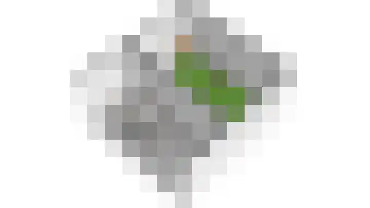 Boommarter 14 Dorst thumbnail 37