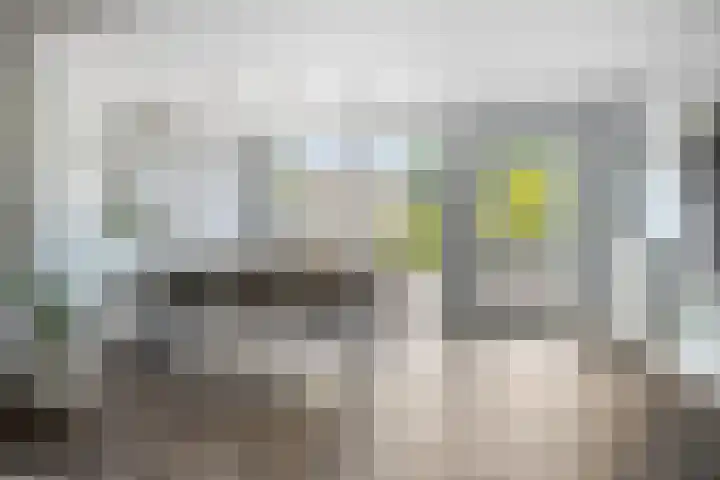 Boommarter 27 Veldhoven thumbnail 10