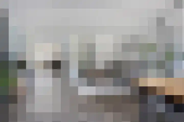 Boommarter 27 Veldhoven thumbnail 12