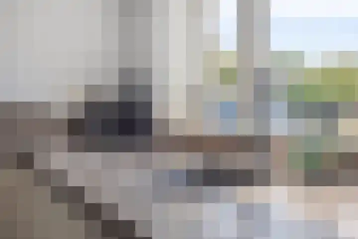 Boommarter 27 Veldhoven thumbnail 15