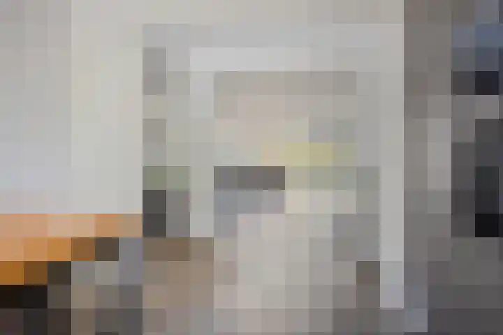 Boommarter 27 Veldhoven thumbnail 16