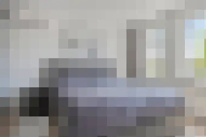 Boommarter 27 Veldhoven thumbnail 20