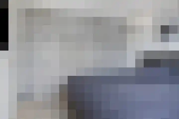 Boommarter 27 Veldhoven thumbnail 21