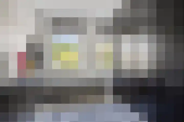 Boommarter 27 Veldhoven thumbnail 22