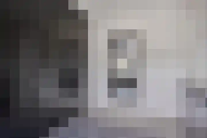 Boommarter 27 Veldhoven thumbnail 23
