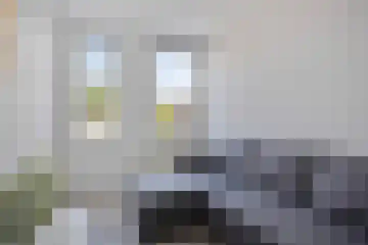 Boommarter 27 Veldhoven thumbnail 24