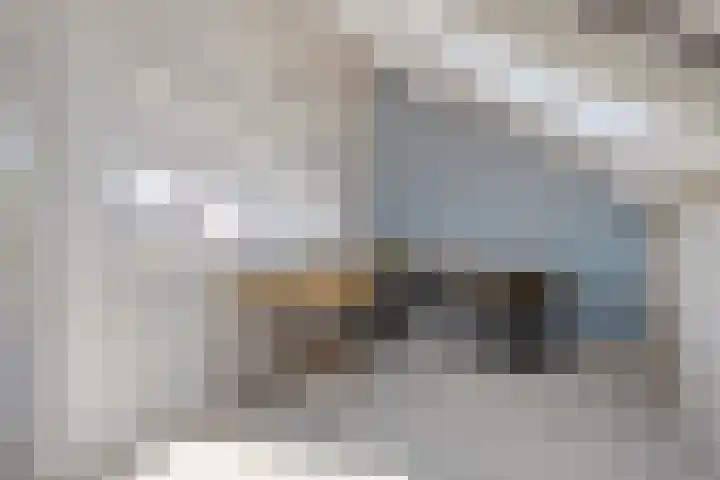 Boommarter 27 Veldhoven thumbnail 30