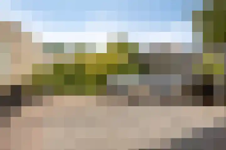 Boommarter 27 Veldhoven thumbnail 32