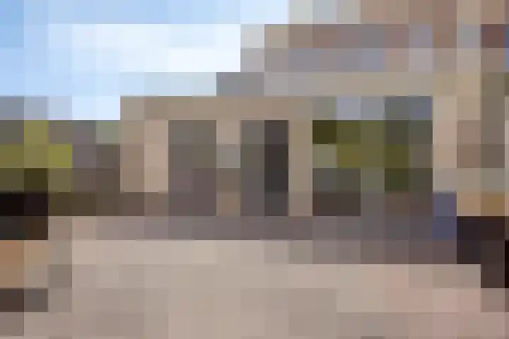 Boommarter 27 Veldhoven thumbnail 34