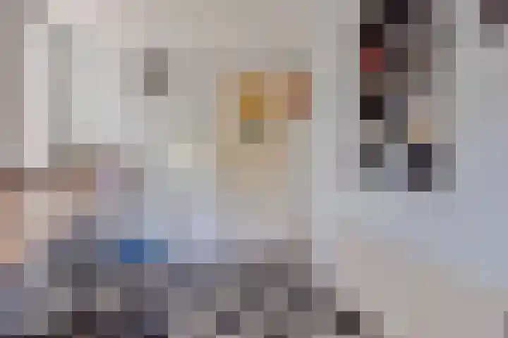 Boommarter 27 Veldhoven thumbnail 35