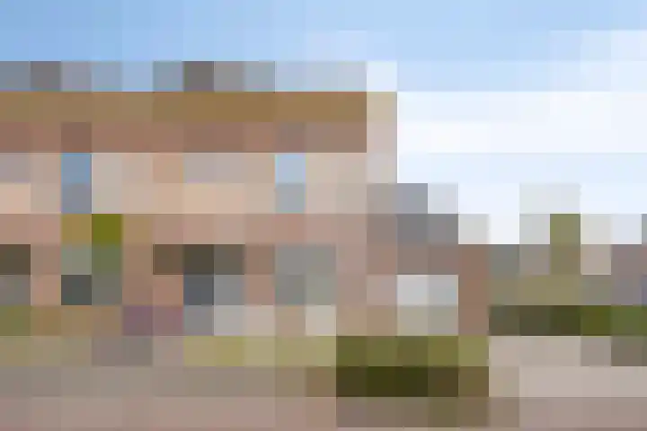 Boommarter 27 Veldhoven thumbnail 37