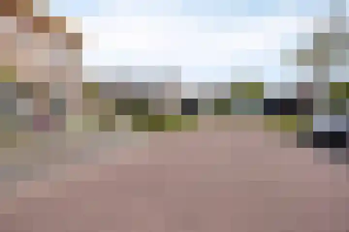 Boommarter 27 Veldhoven thumbnail 38