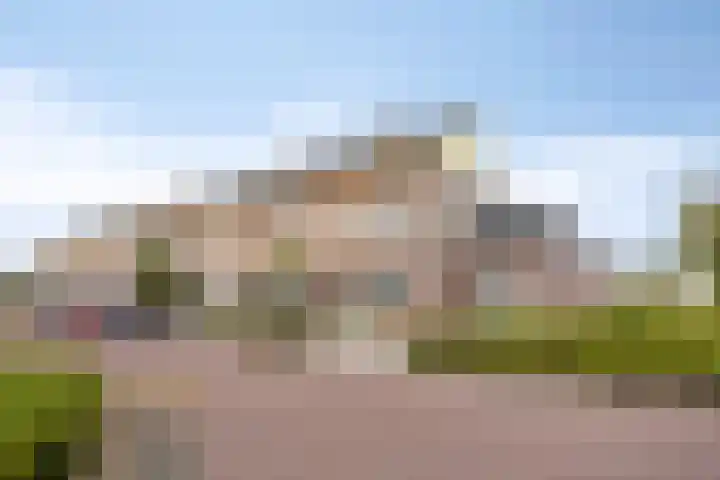 Boommarter 27 Veldhoven thumbnail 39